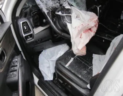 2021 Kia Sorento KNARL81BGNA139785 VIN:KNARL81BGNA139785