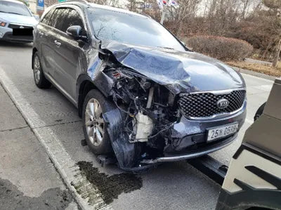 2016 Kia Sorento KNAPH81ABGA158998 VIN:KNAPH81ABGA158998