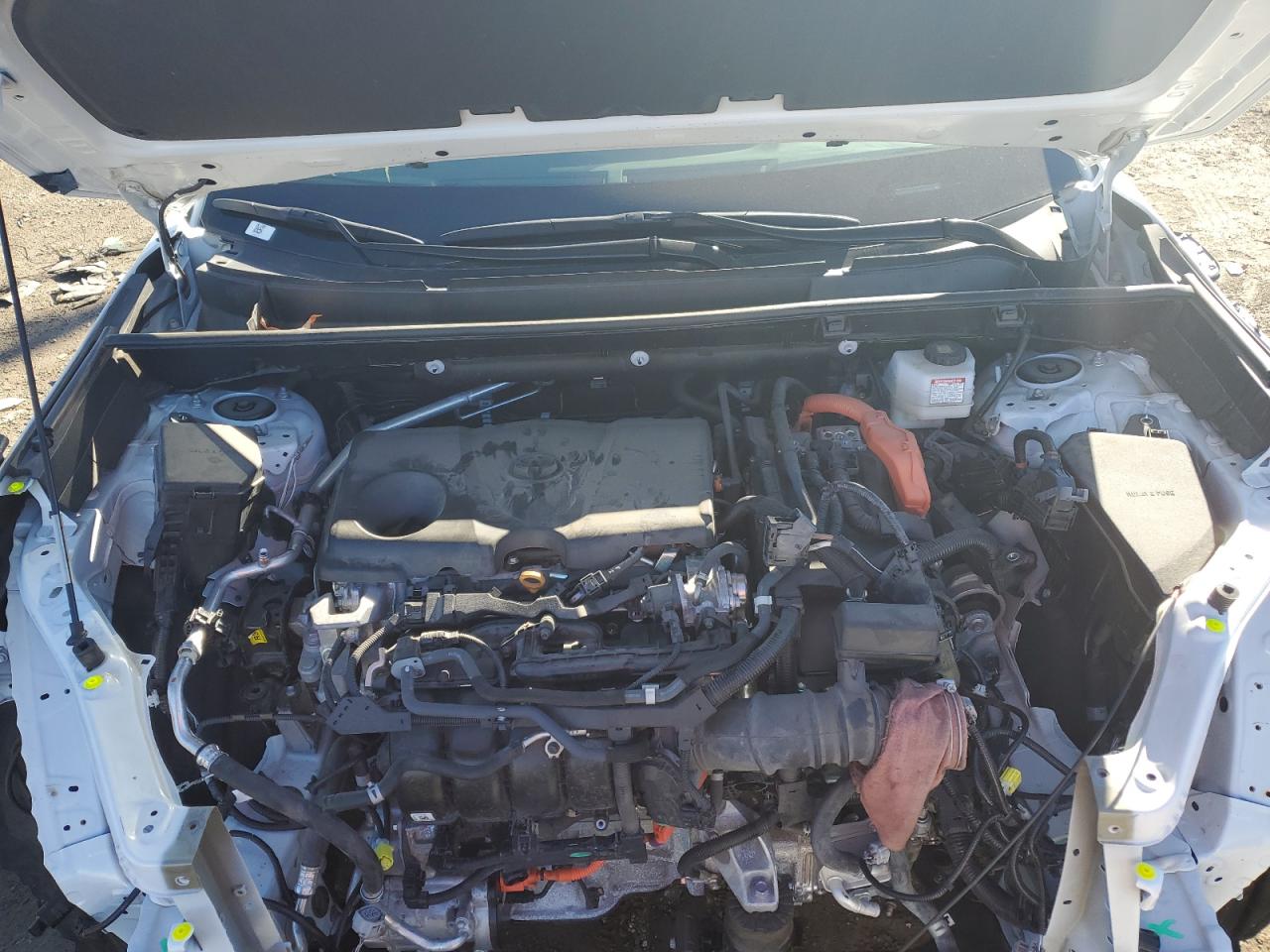 2022 TOYOTA RAV4 LE VIN:2T3MWRFV7NW132957