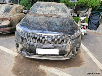 2018 Kia Sorento KNAPH81ABJA396412 VIN:KNAPH81ABJA396412