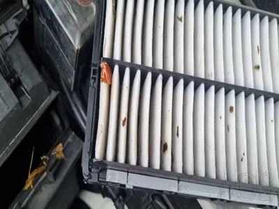 2021 Kia Carnival KNANC81BBNS142872 VIN:KNANC81BBNS142872