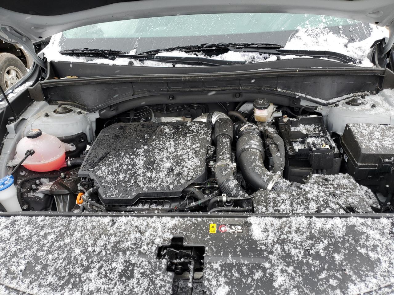 2023 KIA SORENTO SX VIN:5XYRKDLFXPG200073