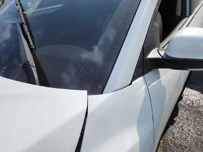 2019 Hyundai Kona KMHK4815GKU365284 VIN:KMHK4815GKU365284