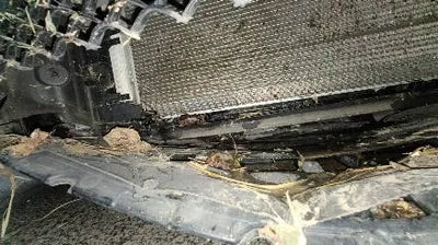 2020 Mercedes-Benz S 350 W1KUF2BB2LA558821 VIN:W1KUF2BB2LA558821