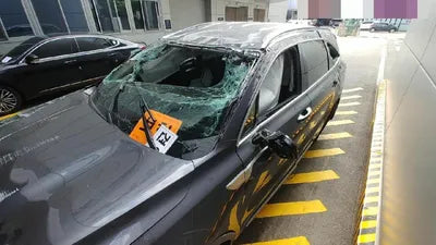 2020 Kia Sorento KNARG81BGMA017381 VIN:KNARG81BGMA017381
