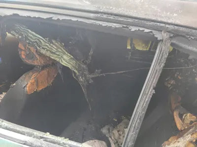 2015 Volkswagen Golf VIN: