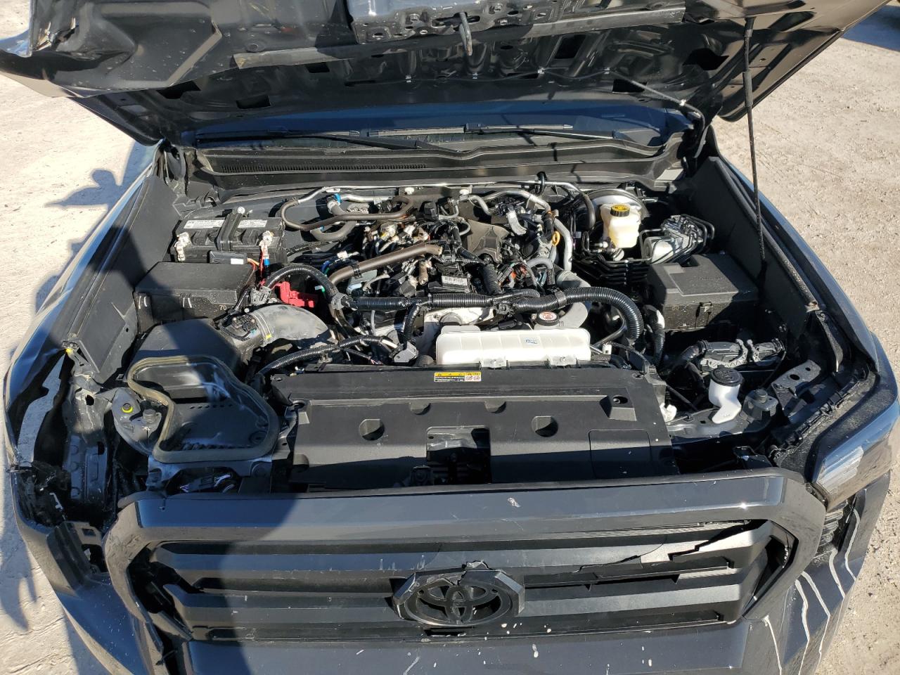 2024 TOYOTA TACOMA DOUBLE CAB VIN:3TYKD5HN0RT006079