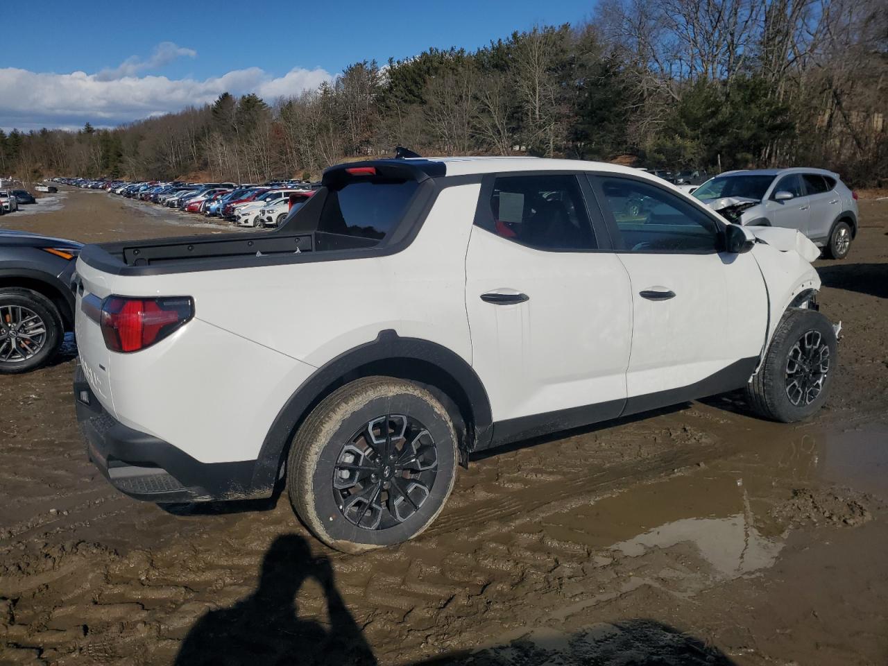 2024 HYUNDAI SANTA CRUZ SEL VIN:5NTJBDDEXRH116593