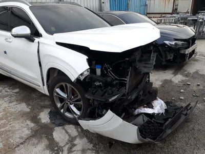 2019 Hyundai Santa FE KMHS581CDLU237680 VIN:KMHS581CDLU237680