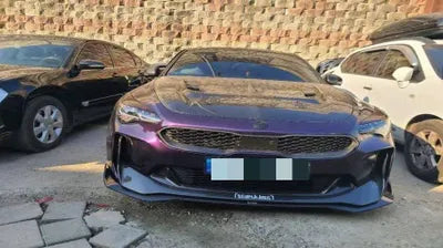 2020 Kia Stinger KNAE351DBMS093498 VIN:KNAE351DBMS093498