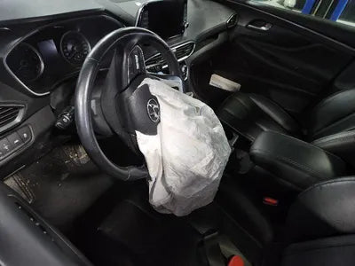 2020 Hyundai Santa FE 1KMHS281BBLU28875 VIN:1KMHS281BBLU28875