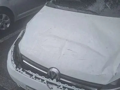 2015 Volkswagen Golf WVWZZZAUZGW021789 VIN:WVWZZZAUZGW021789