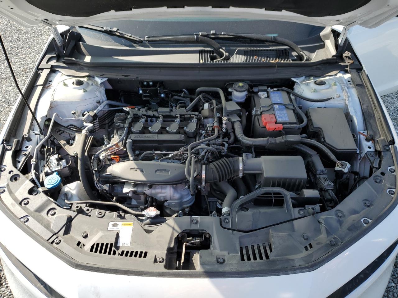 2024 HONDA ACCORD LX VIN:1HGCY1F22RA024040