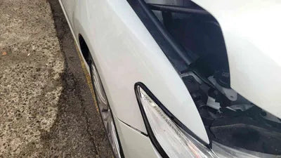2021 Toyota Camry JTNB11HKXM3122172 VIN:JTNB11HKXM3122172