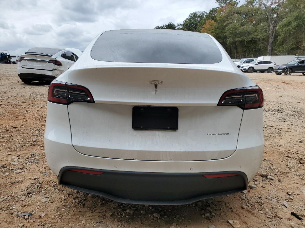 2022 TESLA MODEL Y  VIN:7SAYGDEE8NF316106