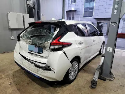 2019 Nissan Leaf 1N4AZ1CP1KC309377 VIN:1N4AZ1CP1KC309377
