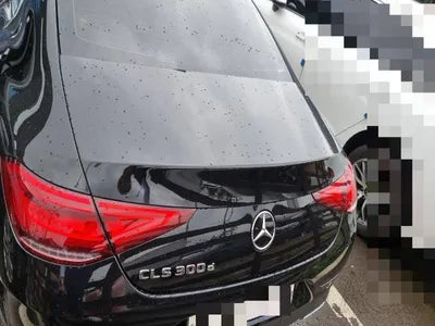 2020 Mercedes-Benz CLS 300 WDD2J1JB5LA054409 VIN:WDD2J1JB5LA054409