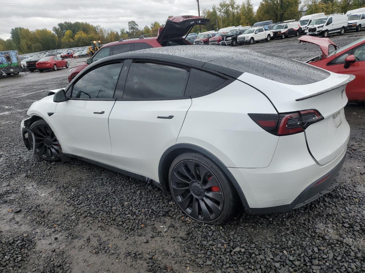 2022 TESLA MODEL Y  VIN:7SAYGDEF6NF493472