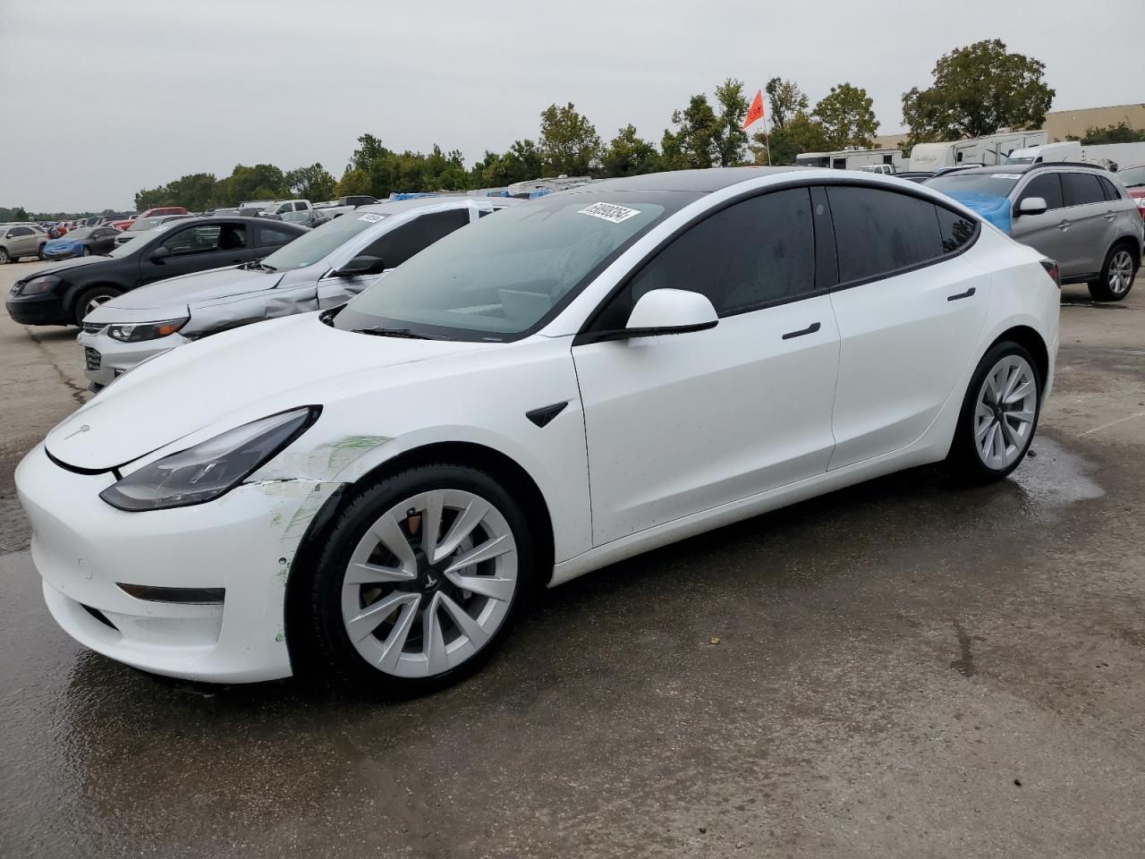 2022 TESLA MODEL 3  VIN:5YJ3E1EA9NF342447