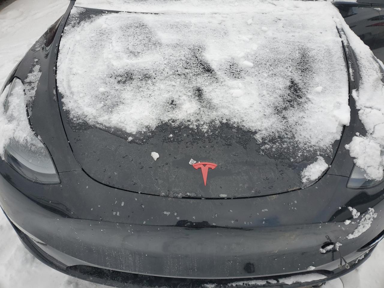 2023 TESLA MODEL Y  VIN:7SAYGDEE9PA181525