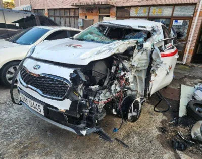2019 Kia Sportage KNAPM813DKK602604 VIN:KNAPM813DKK602604