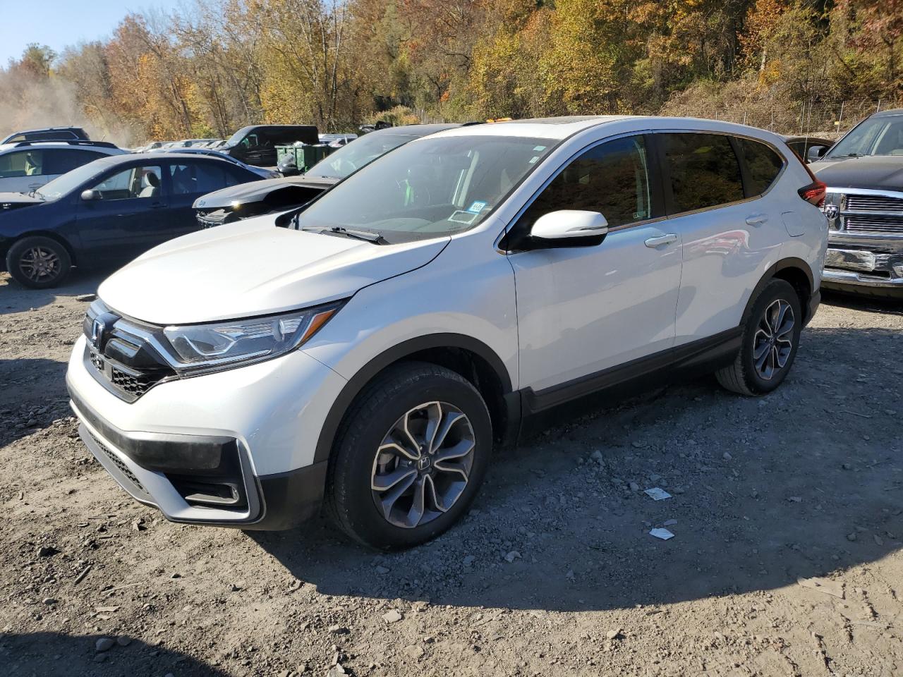 2022 HONDA CR-V EX VIN:5J6RW2H51NL003572