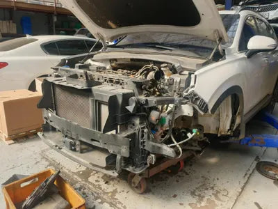 2019 Hyundai Santa FE KMHS381BBKU149281 VIN:KMHS381BBKU149281