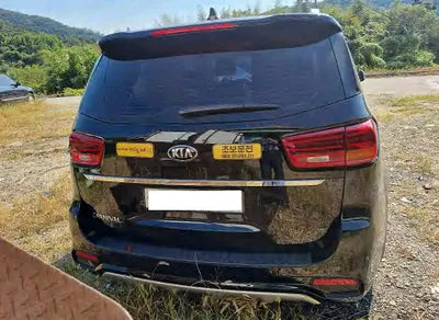 2019 Kia Carnival KNAMC81ABKS559805 VIN:KNAMC81ABKS559805