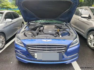 2015 acupuncture nessis 3.3 VIN: