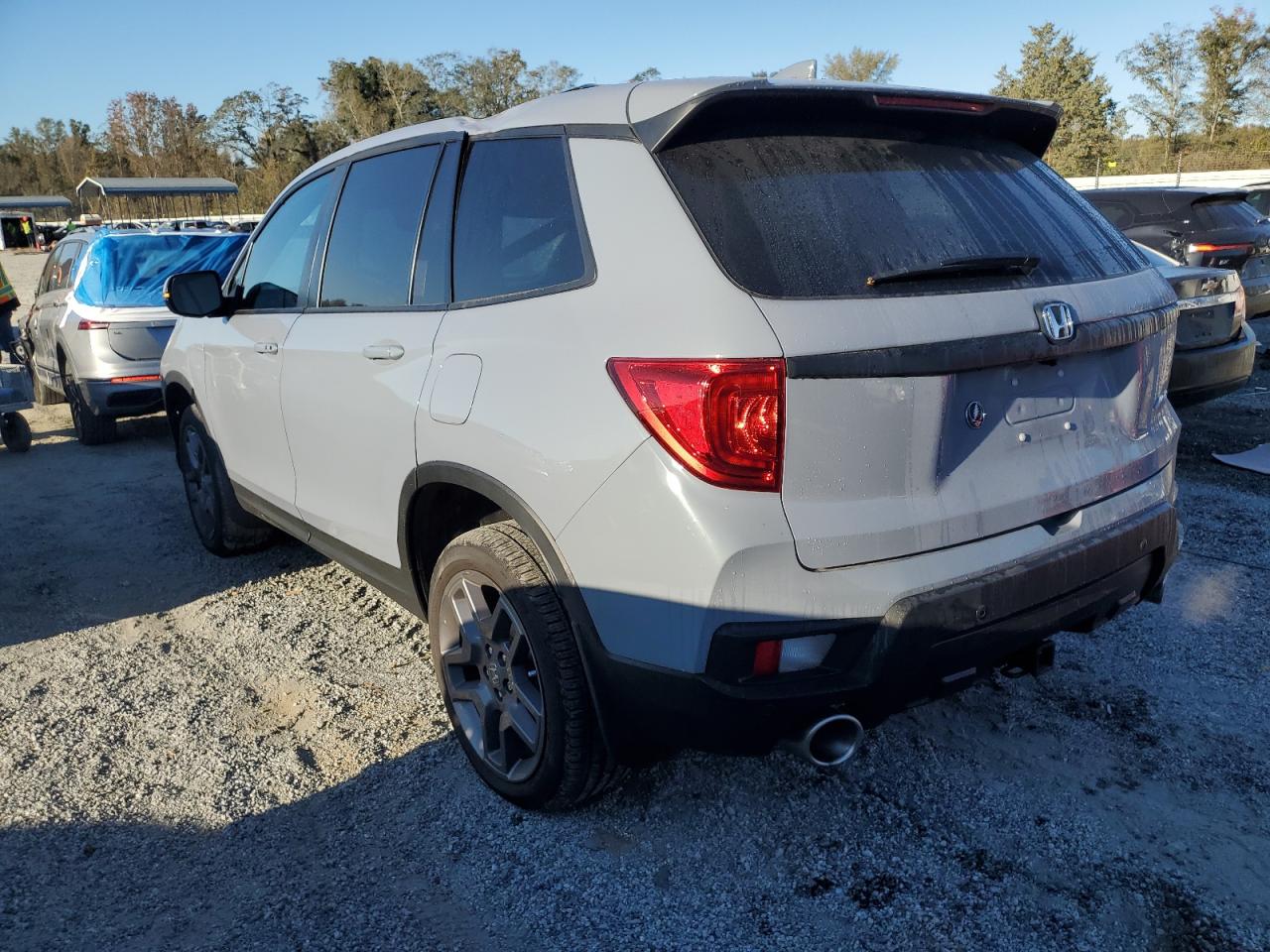 2023 HONDA PASSPORT EXL VIN:5FNYF8H50PB038579