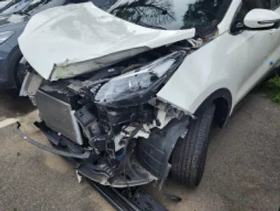 2019 Kia Sportage KNAPL812GKK565456 VIN:KNAPL812GKK565456