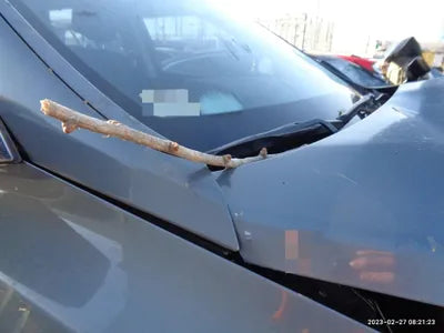 2017 Hyundai Santa FE VIN: