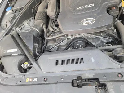 2015 acupuncture nessis 3.3 VIN: