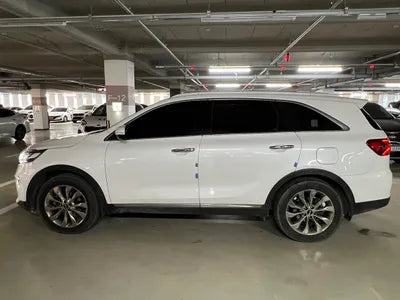 2020 Kia Sorento KNAPS81ABLA621119 VIN:KNAPS81ABLA621119