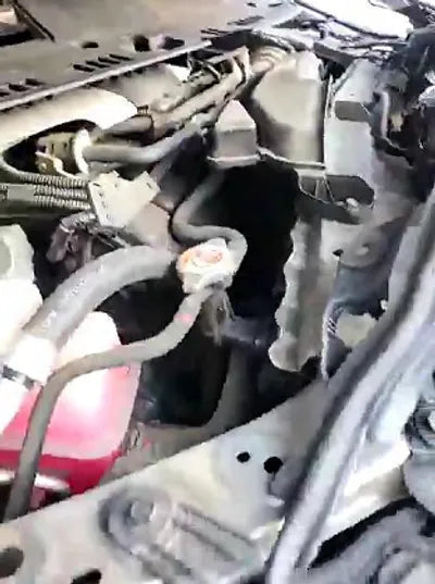 2019 Lexus ES 300 JTHB21B12K2049785 VIN:JTHB21B12K2049785