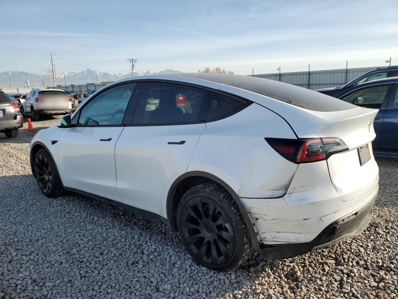 2022 TESLA MODEL Y  VIN:7SAYGDEE0NF385730