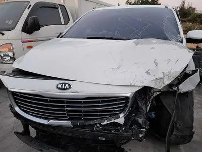 2017 Kia Carnival KNAMC81ABHS301563 VIN:KNAMC81ABHS301563