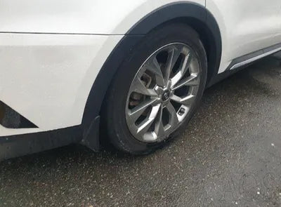 2021 Kia Sorento KNARH81FGMA090596 VIN:KNARH81FGMA090596