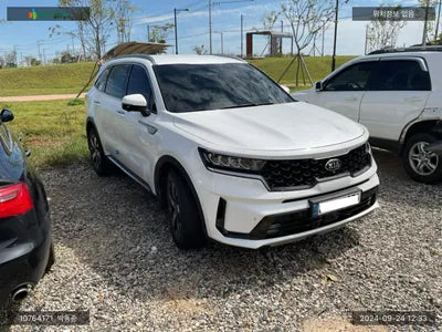 2021 Kia Sorento KNARM81FGMA112905 VIN:KNARM81FGMA112905