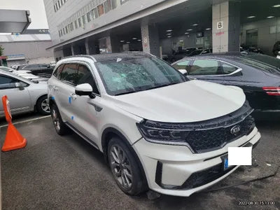 2021 Kia Sorento KNARK81BGMA103765 VIN:KNARK81BGMA103765