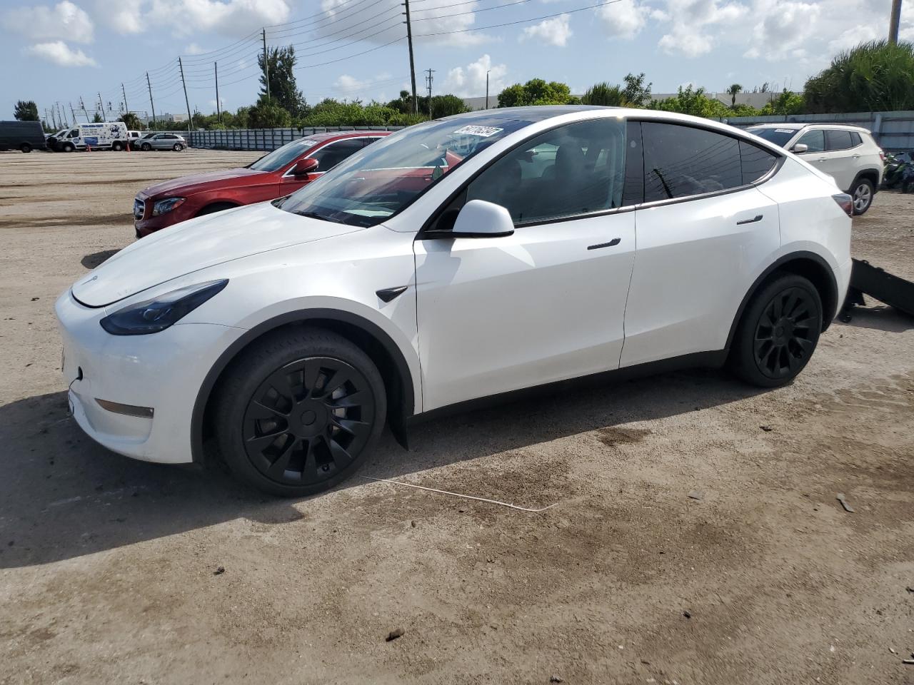 2023 TESLA MODEL Y  VIN:7SAYGDEE3PA166101