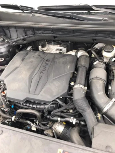 2022 Kia Sorento KNARM81FGNA147321 VIN:KNARM81FGNA147321
