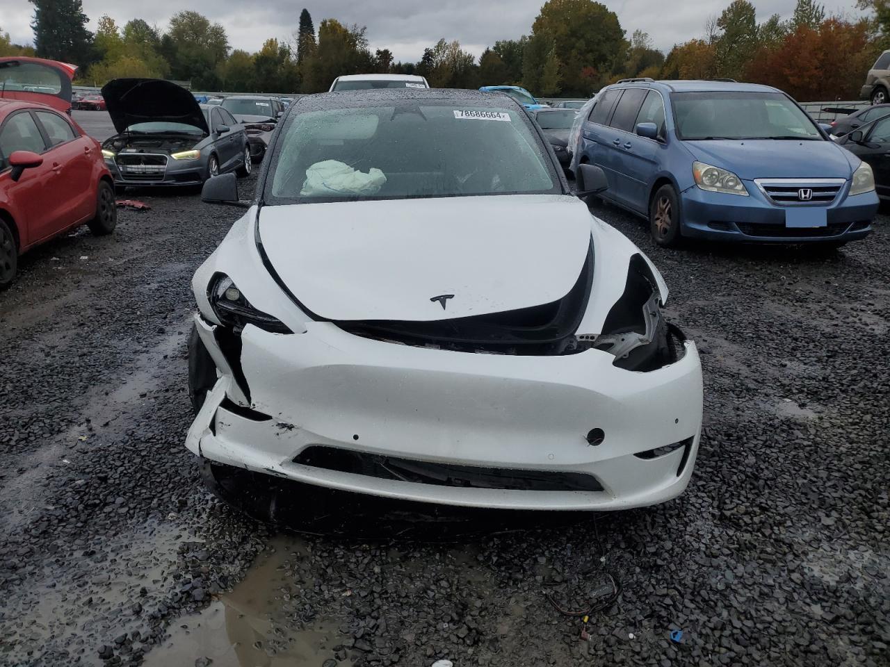 2022 TESLA MODEL Y  VIN:7SAYGDEF6NF493472