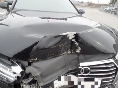 2017 Audi 50 WAUZZZ4GXHN022219 VIN:WAUZZZ4GXHN022219