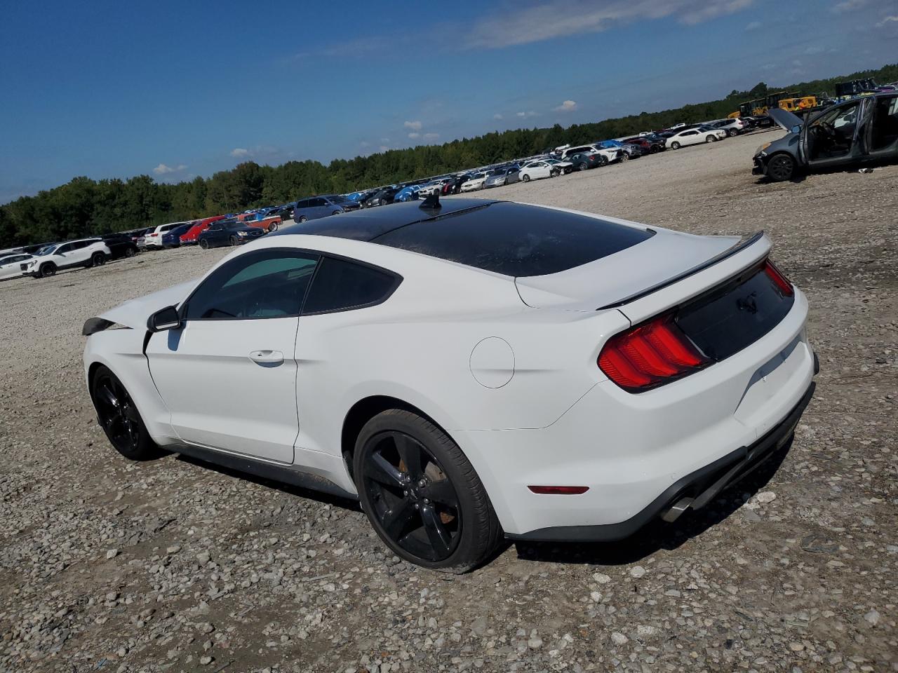2022 FORD MUSTANG  VIN:1FA6P8TH9N5141977