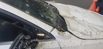 2020 Mercedes-Benz A 250 W1K3G4HB9LJ184929 VIN:W1K3G4HB9LJ184929