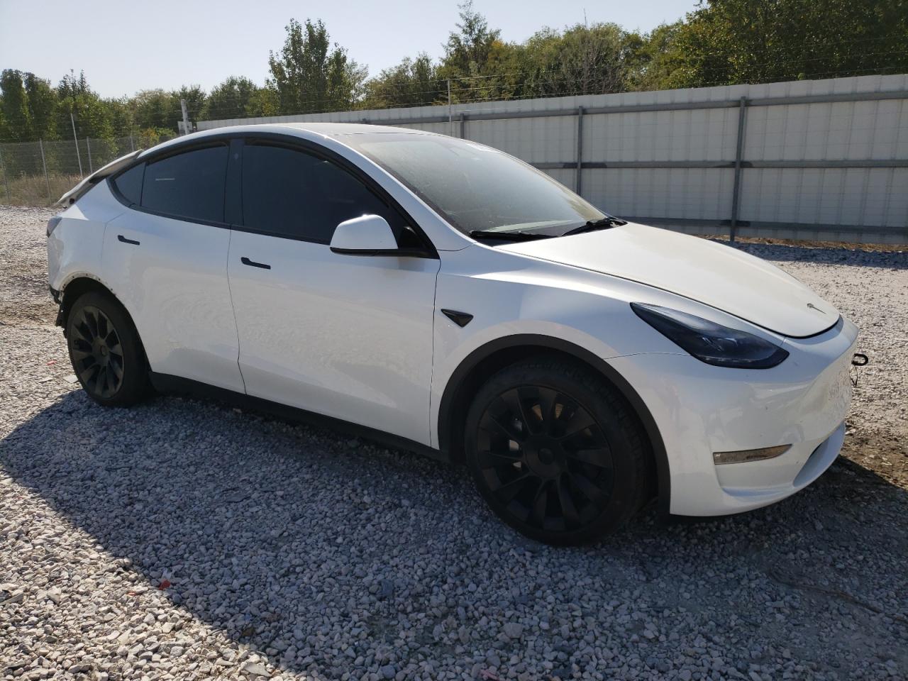 2023 TESLA MODEL Y  VIN:7SAYGAEE9PF626301