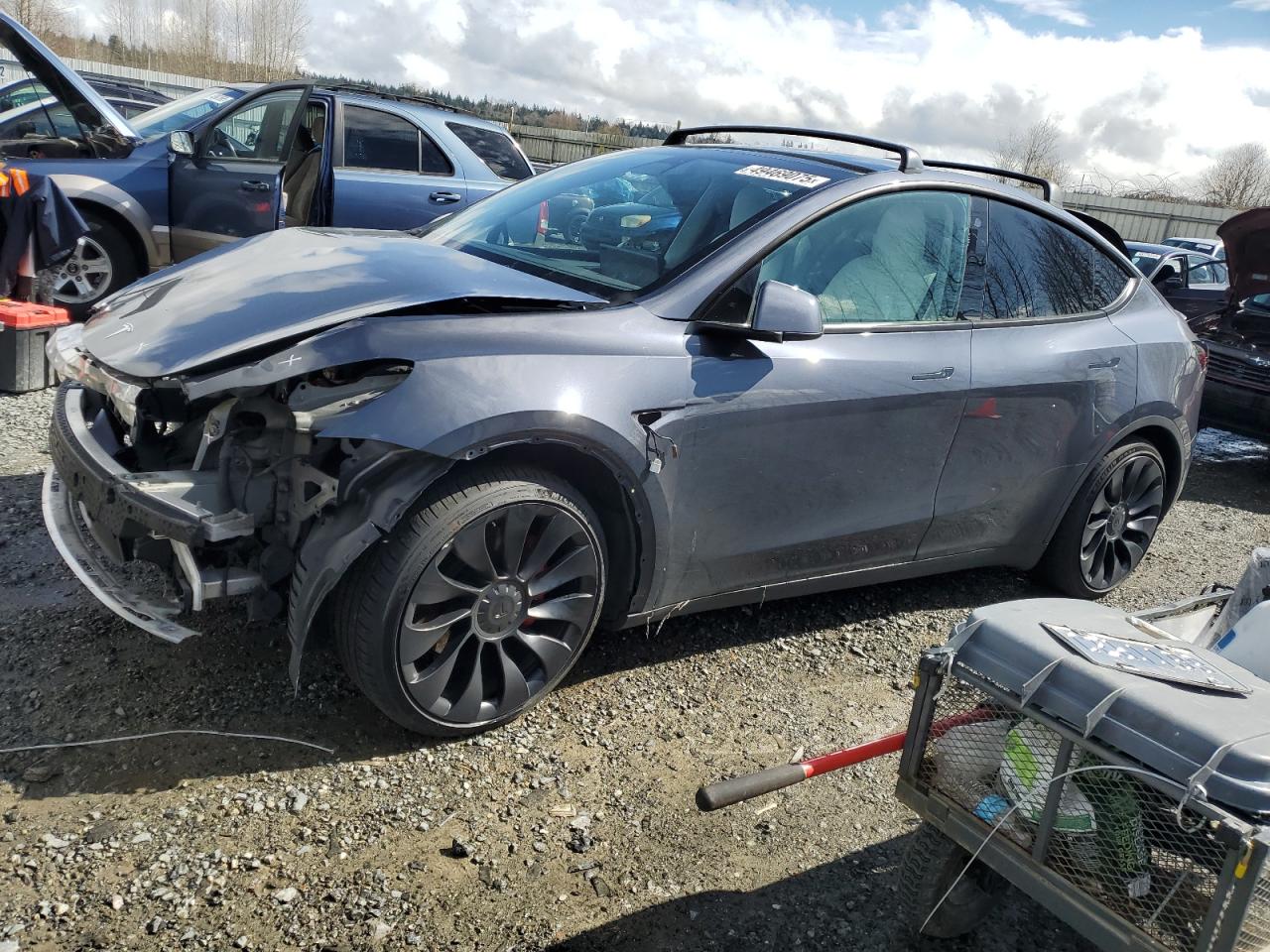 2022 TESLA MODEL Y  VIN:7SAYGDEF4NF523021