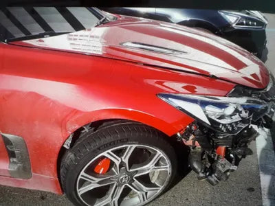 2020 Kia Stinger KNAE751CDLS075441 VIN:KNAE751CDLS075441