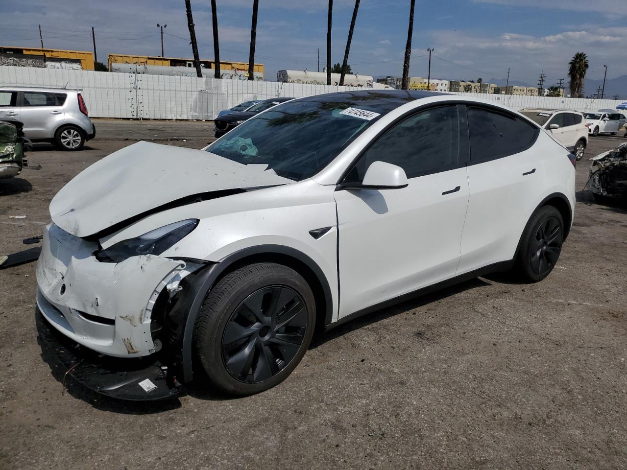 2024 TESLA MODEL Y  VIN:7SAYGDEE5RF131663